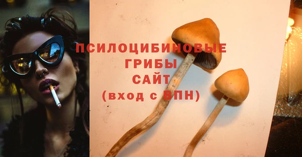ПСИЛОЦИБИНОВЫЕ ГРИБЫ Аркадак