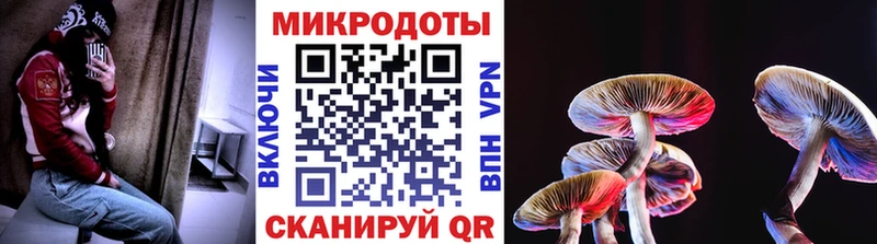 Псилоцибиновые грибы мицелий  закладки  Усть-Илимск 